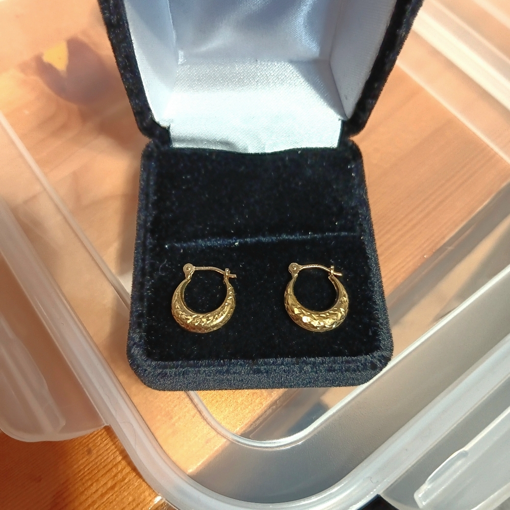 10k Elegant Gold Hoop Earrings.